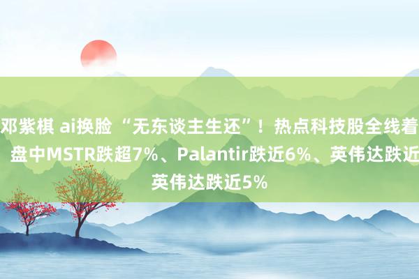 邓紫棋 ai换脸 “无东谈主生还”！热点科技股全线着落，盘中MSTR跌超7%、Palantir跌近6%、英伟达跌近5%