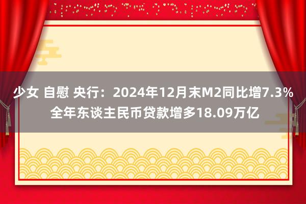 少女 自慰 央行：2024年12月末M2同比增7.3% 全年东谈主民币贷款增多18.09万亿