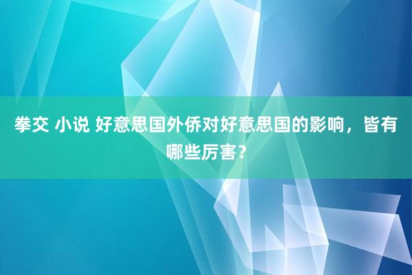 拳交 小说 好意思国外侨对好意思国的影响，皆有哪些厉害？