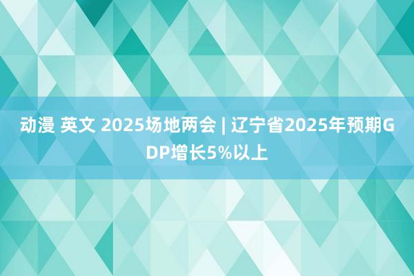 动漫 英文 2025场地两会 | 辽宁省2025年预期GDP增长5%以上