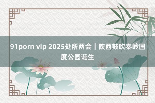 91porn vip 2025处所两会｜陕西鼓吹秦岭国度公园诞生