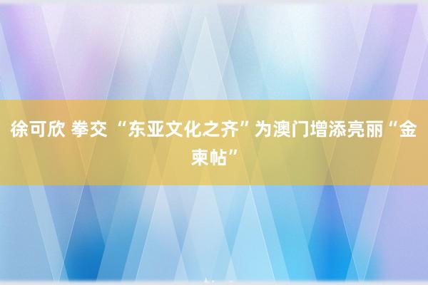 徐可欣 拳交 “东亚文化之齐”为澳门增添亮丽“金柬帖”